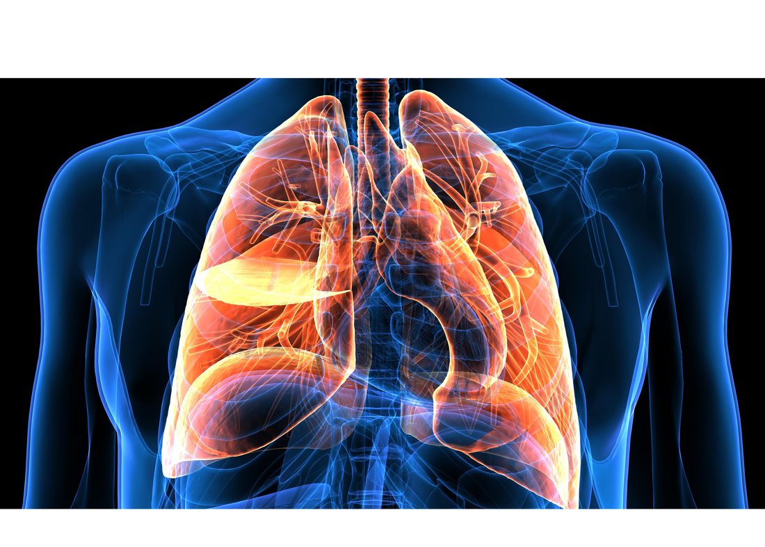 Lung Health