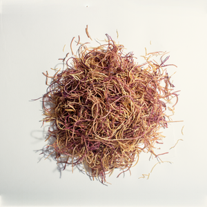 Raw Sea Moss (Honduras)