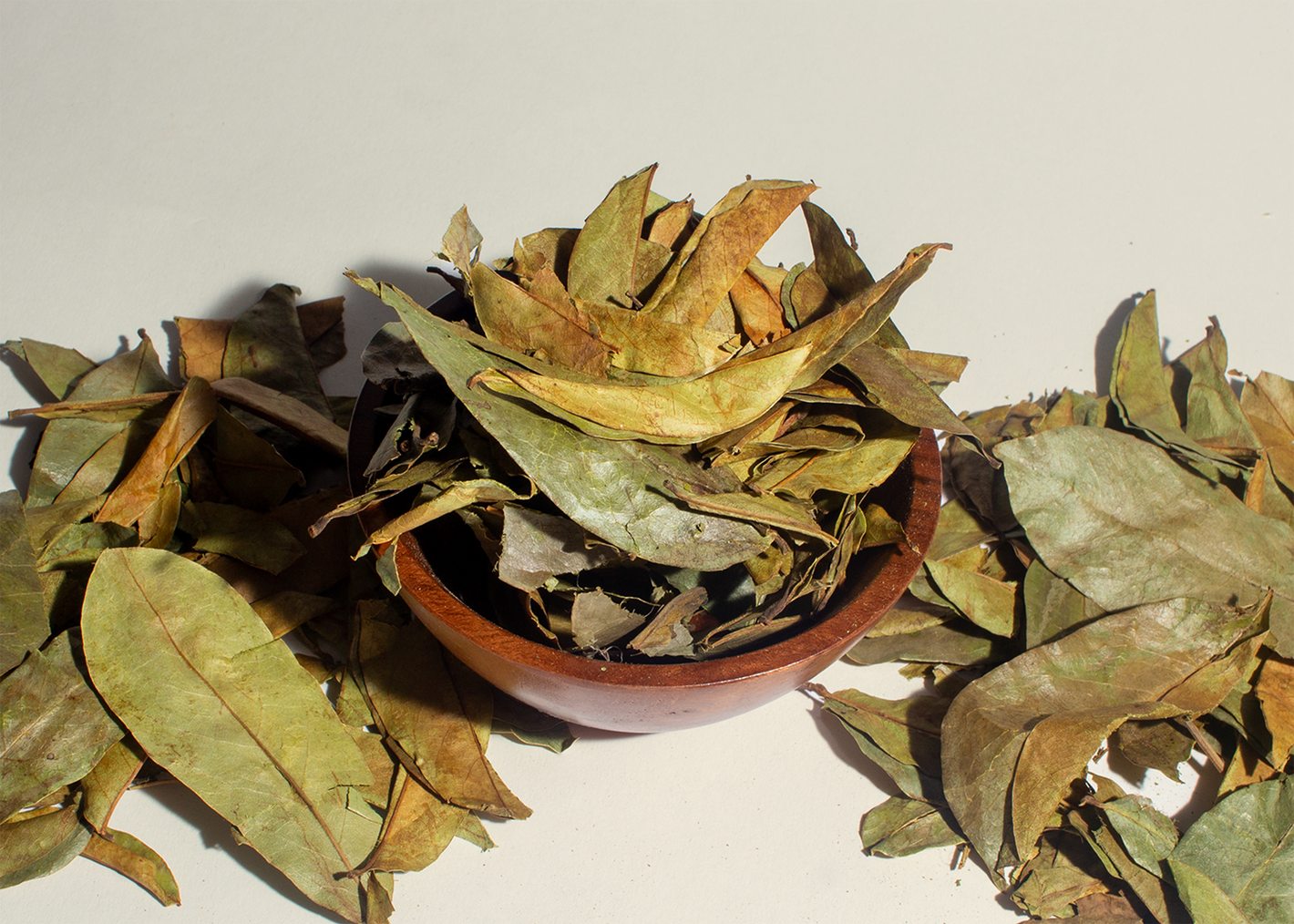 Soursop Leaves