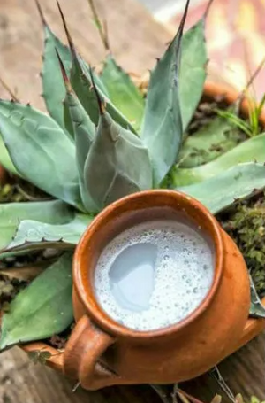 Mexican Maguey Sap (1/2 Liter)